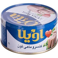 کنسرو تن ماهی اویلا ۱۲۰ گرمی