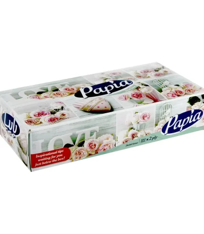 پاپیا دستمال کاغذی 100 برگ دولا