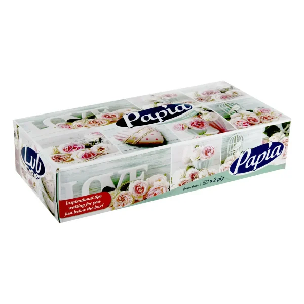 پاپیا دستمال کاغذی 100 برگ دولا