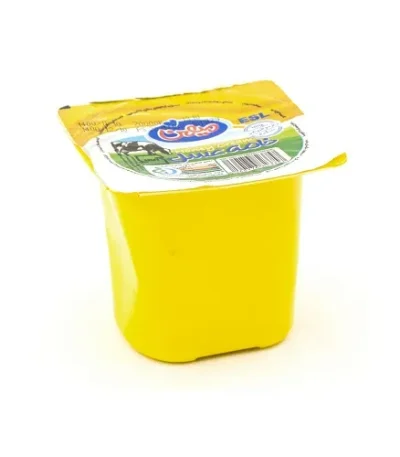 میهن خامه عسل ۱۰۰ گرم
