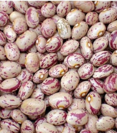 لوبیا چیتی فله