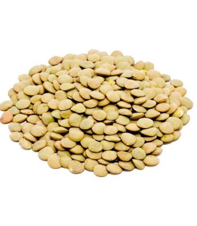 عدس سبز درشت درجه یک